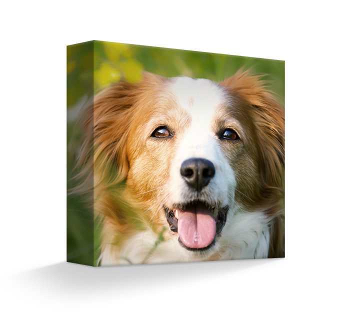 Canvas gallery wrap with image wrap